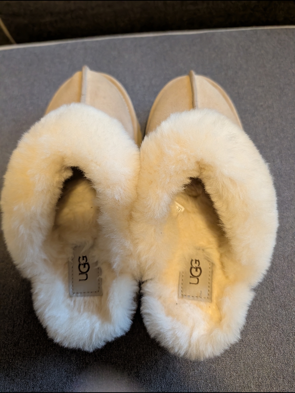 UGG Women's Cream Shearling Lined Disquette Clogs